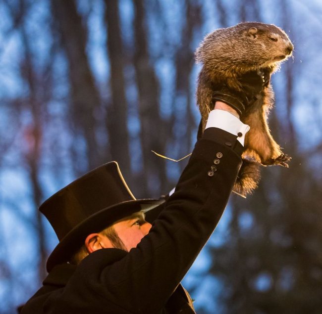 Man in a top hat, holding up a medium-sized brown furry rodent.