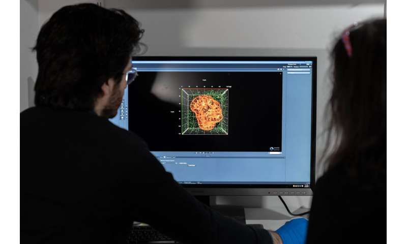 Cholesterol-lowering meds have potential to downgrade COVID-19’s threat to that of the common cold