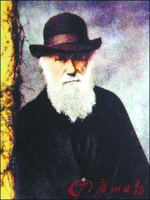 1259006902_1oMndd.jpg