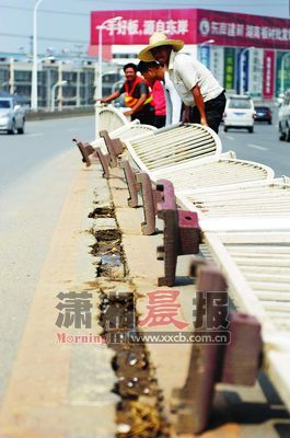 20100813104412c1f32.jpg