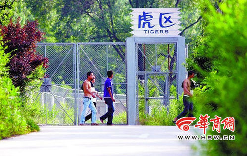 2010061403553452f0b.jpg