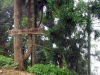 100x75_83URH5HN00AP0001.jpg