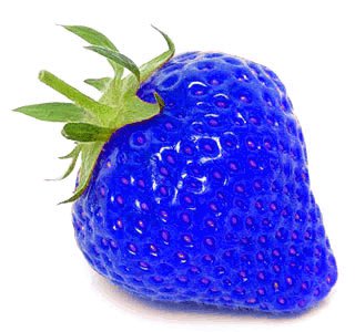 blue_strawberry_by_shahaf940-d3i0gv2.jpg