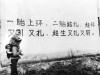 100x75_83UPMJNO00AP0001.jpg