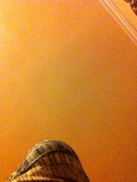 U6203P28T3D3815010F326DT20121219003251.jpg