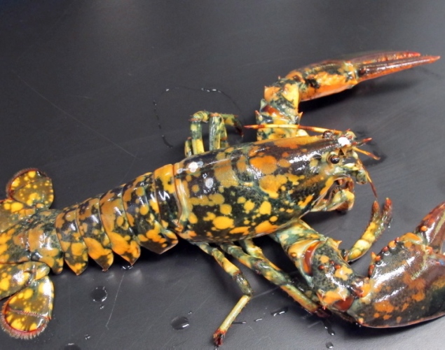 20130614103400675.jpg