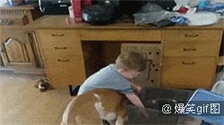79a00895jw1ezzzzooaivg206y03whdu.gif