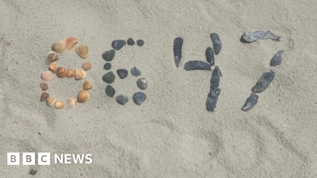www.bbc.com