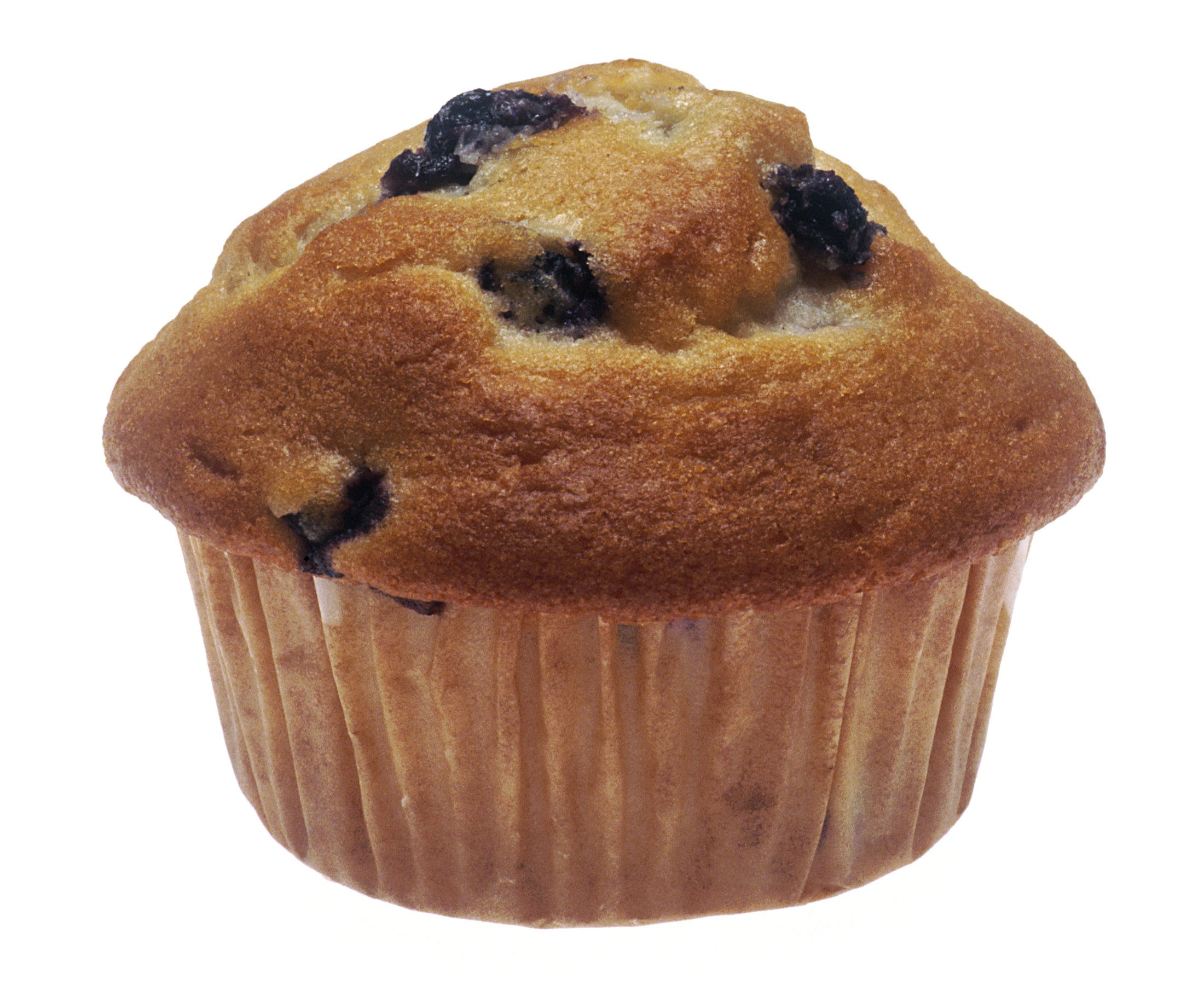 Muffin_NIH.jpg