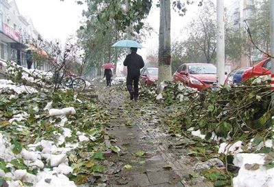 201211110323177c4f6.jpg