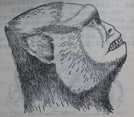 5363032827867014289.jpg