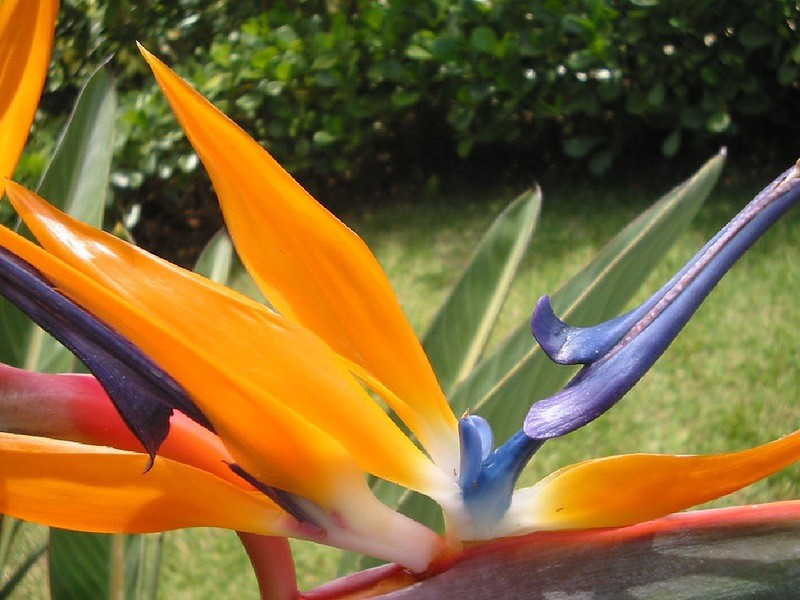 20130701034238248.jpg