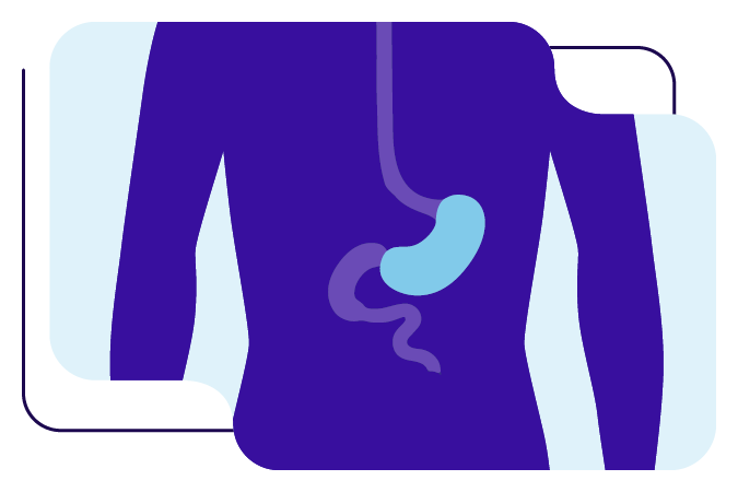 www.wcrf.org
