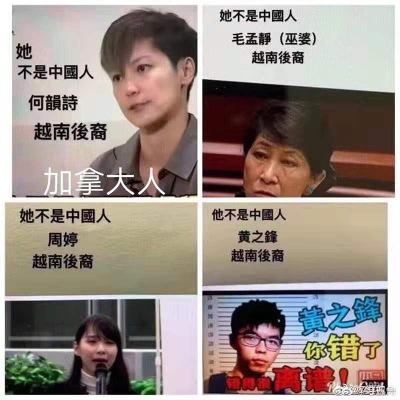 e1192cd36144Nkp9HEuO.jpeg