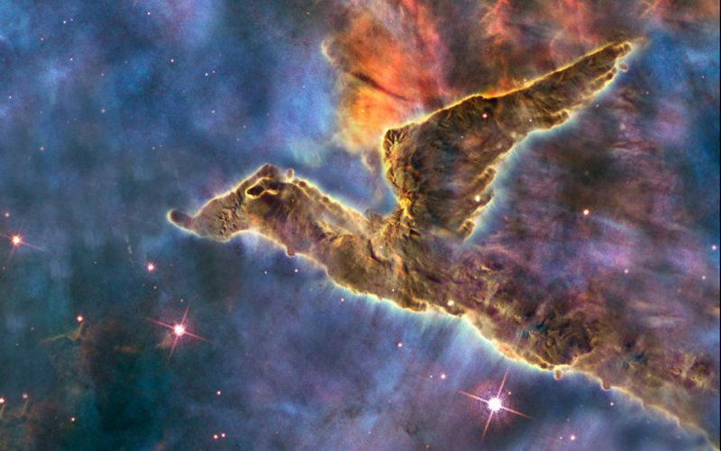 6731601_980x1200_0.jpg