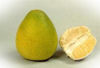 Img247164787.jpg