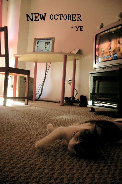 x1pc_jqddVOWRnybpNip-yErRJboeZfqzjlQt32TD9_fiidujp4M0VonDkLUkkWMvJpCLIyvCFDdGwU-LpH_fAYG68niGOHujEP8OvmRFPcpMv9nHOlgymcIQrDLhogP_9wfWGGqASFsU0