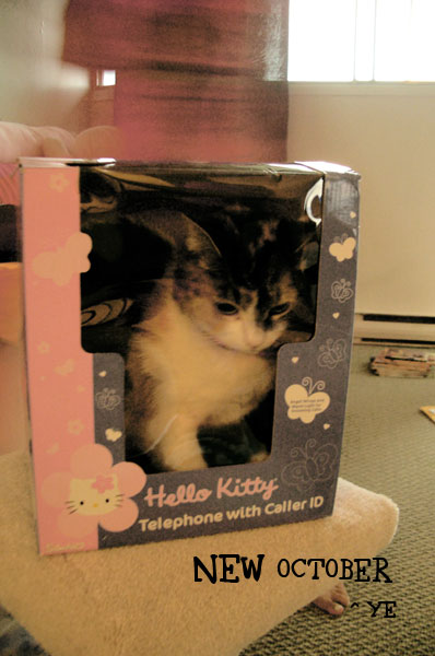 x1pc_jqddVOWRnybpNip-yErSCkRirRkvzGdwmemOKco2gvgWiFfgpbIO6CgmrNiIuJ7tLvFMaDQHs4MSpo6tkDU_cBvbN0xjdO5sPa4w4X_7Harpmgw-e2yxypVVHZQpbqc7hzopeUajU