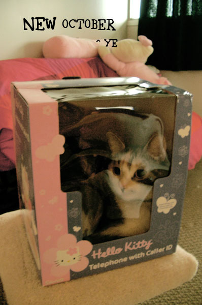 x1pc_jqddVOWRnybpNip-yErT77iASaohkhHYVctvMQHi5xlOrWMIbAkUlbLjU-uwK_D7FknrVnJn7Cr09tBskqQx-6UVoO93lWYgW8kFQ75RD1kMiFPxbM_Pr7kmi5uNEPiDVqZDNPpag