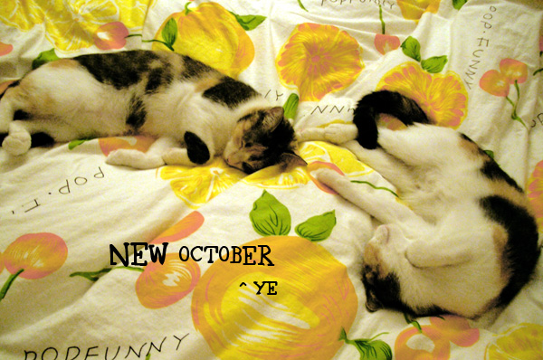 x1pc_jqddVOWRnybpNip-yErTrpVXEJYTYhMvYyJHnSBKw4MoCyZ_mCsd0qroaTLhsj6xw169V1JJM3RG5085apWQRfd1S9tEUC3NGYJBi2AVkPBhUuIneex4elGJFZJFTxHGqft0D2Rl4