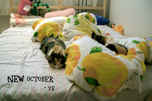 x1pc_jqddVOWRnybpNip-yErbUtw49Y76LSQqR4_-VrDpNP_hgOcY4z9IZGytq3XunX0OnvuD1-fckXHcdS5MUO-DB7NyVvWDFTKM6gbr0yM8XT_zms5m3xivbTl99IRdiwuNXss8DdxeQ