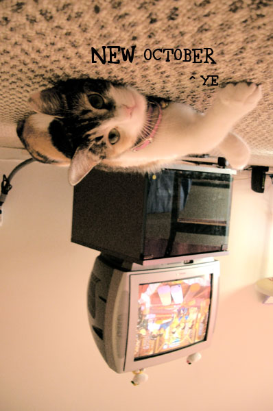 x1pc_jqddVOWRnybpNip-yErf7kwP_TCBMAqISyfsjfWA62HjWLCfkccBdMdC1f0n6mdaR3YKWI-UJO0-88MTiaLwyA-zLblJFllPVs1mQVM-2rCwnCzkO5oMz0vUGB4LIw3xmbgb3naVA