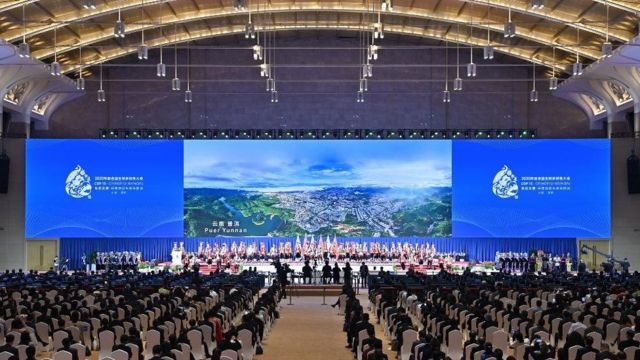 2021年10月在昆明举行的《联合国生物多样性公约》第十五次缔约方大会 2021年10月在昆明举行的《联合国生物多样性公约》第十五次缔约方大会